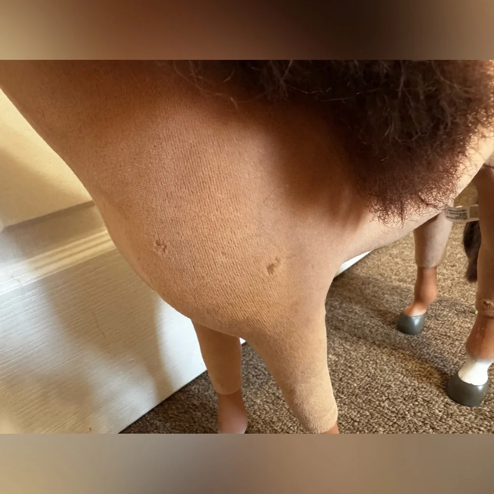 American Girl Chestnut Colored Horse